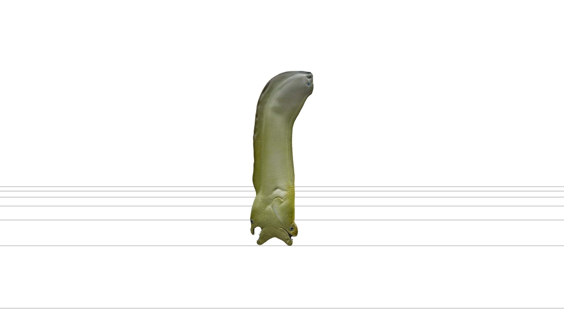 Green Moray Eel Realistic High-Detail Model Texture 3D Model