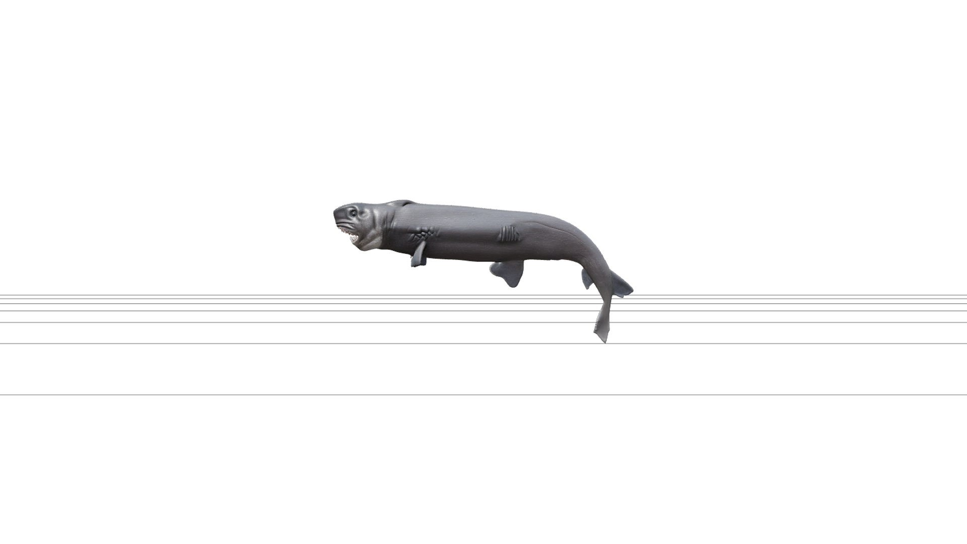 Highly Detailed Shark Open Mouth Model with Saw Teeth 3D Model