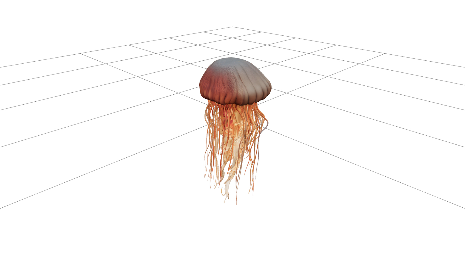 Lions Mane Jellyfish Detailed Model with Flowing Tentacles 3D Model
