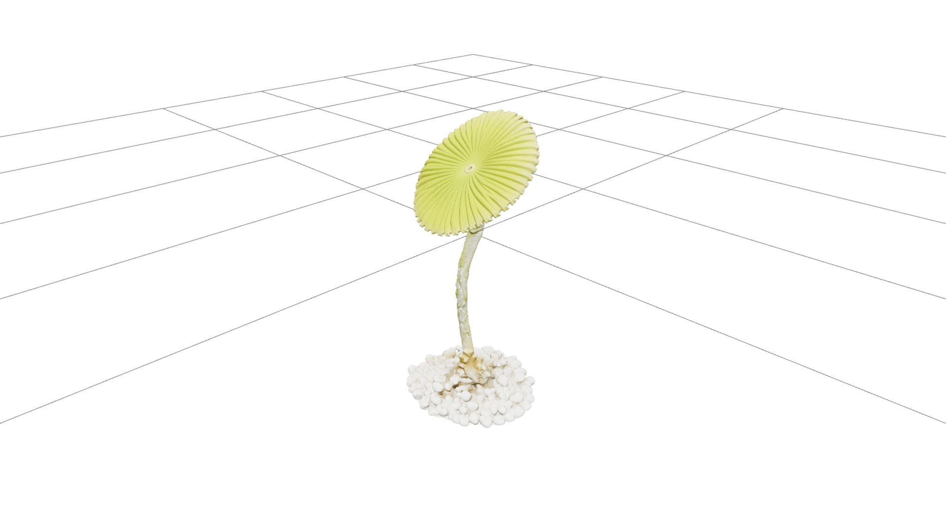 Mermaid Wine Glass Acetabularia Algae 3D Model High Detail 3D Model