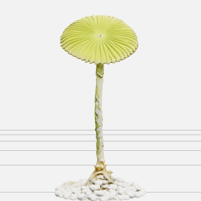 Mermaid Wine Glass Acetabularia Algae 3D Model High Detail
