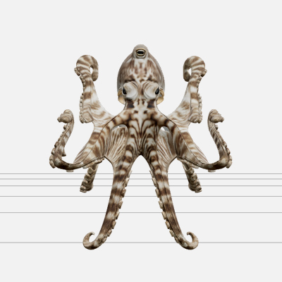 Mimic Octopus Flatfish Imitation Model High Detail