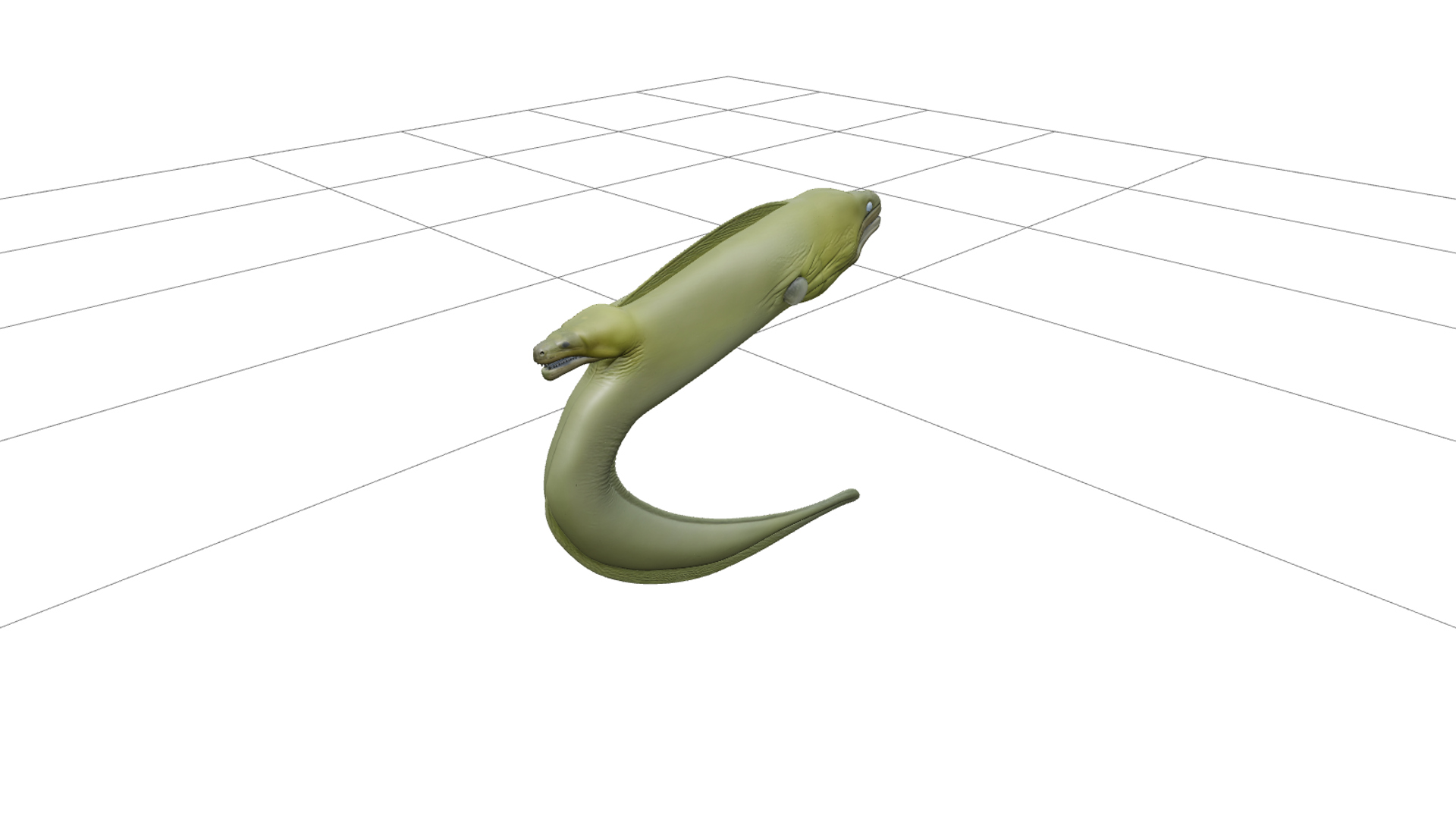 Moray Eel Model Thick Green Skin Macro Realistic 3D Asset 3D Model