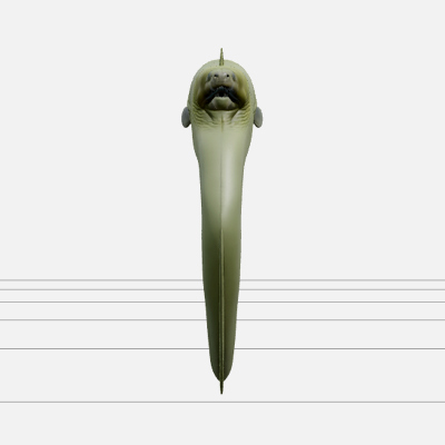 Moray Eel Model Thick Green Skin Macro Realistic 3D Asset