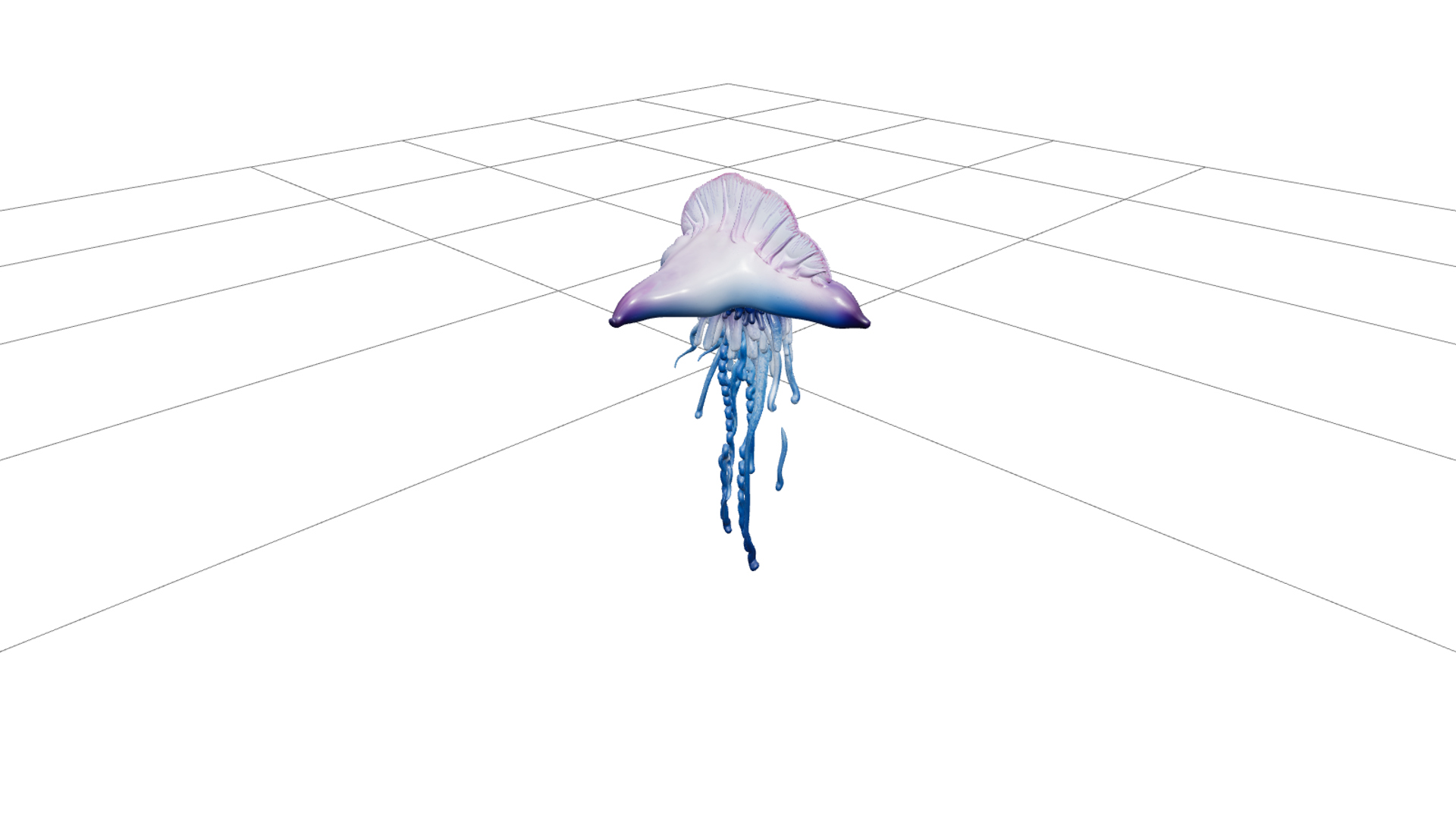Portuguese Man o War Model Realistic Macro Detail HD 3D Model