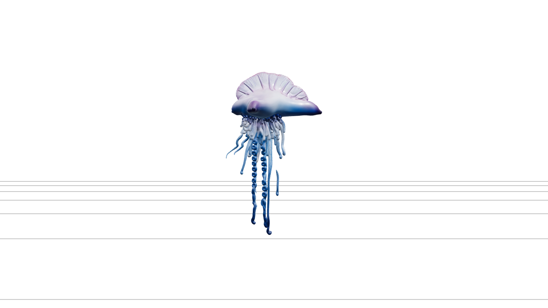 Portuguese Man o War Model Realistic Macro Detail HD 3D Model