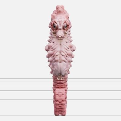 Pygmy Seahorse Gorgonian Coral Detailed High Quality Model