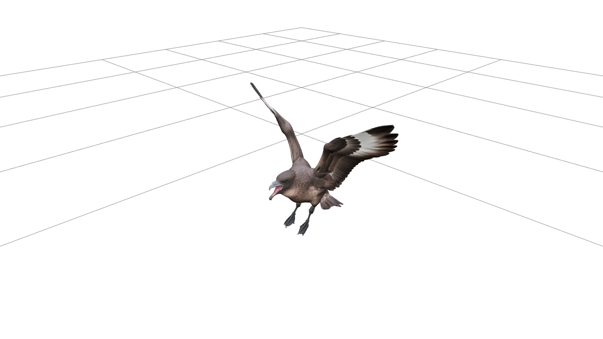 Skua Aggressive Flight Model Detailed High Poly Realistic 3D Model