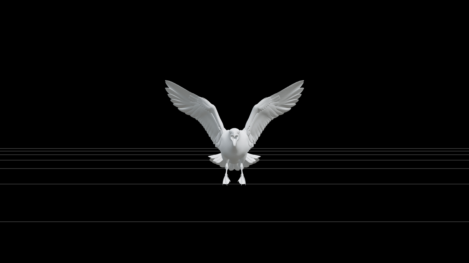 Skua Aggressive Flight Model Detailed High Poly Realistic 3D Model