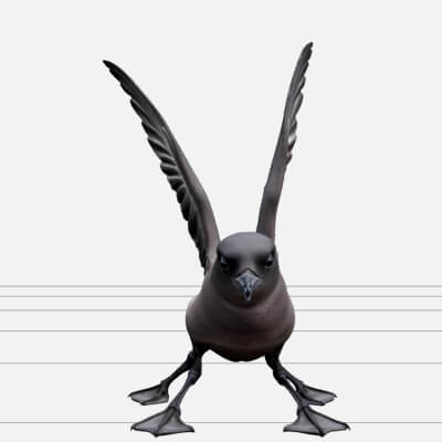 Storm Petrel Pattering Ocean Surface Detailed 3D Model