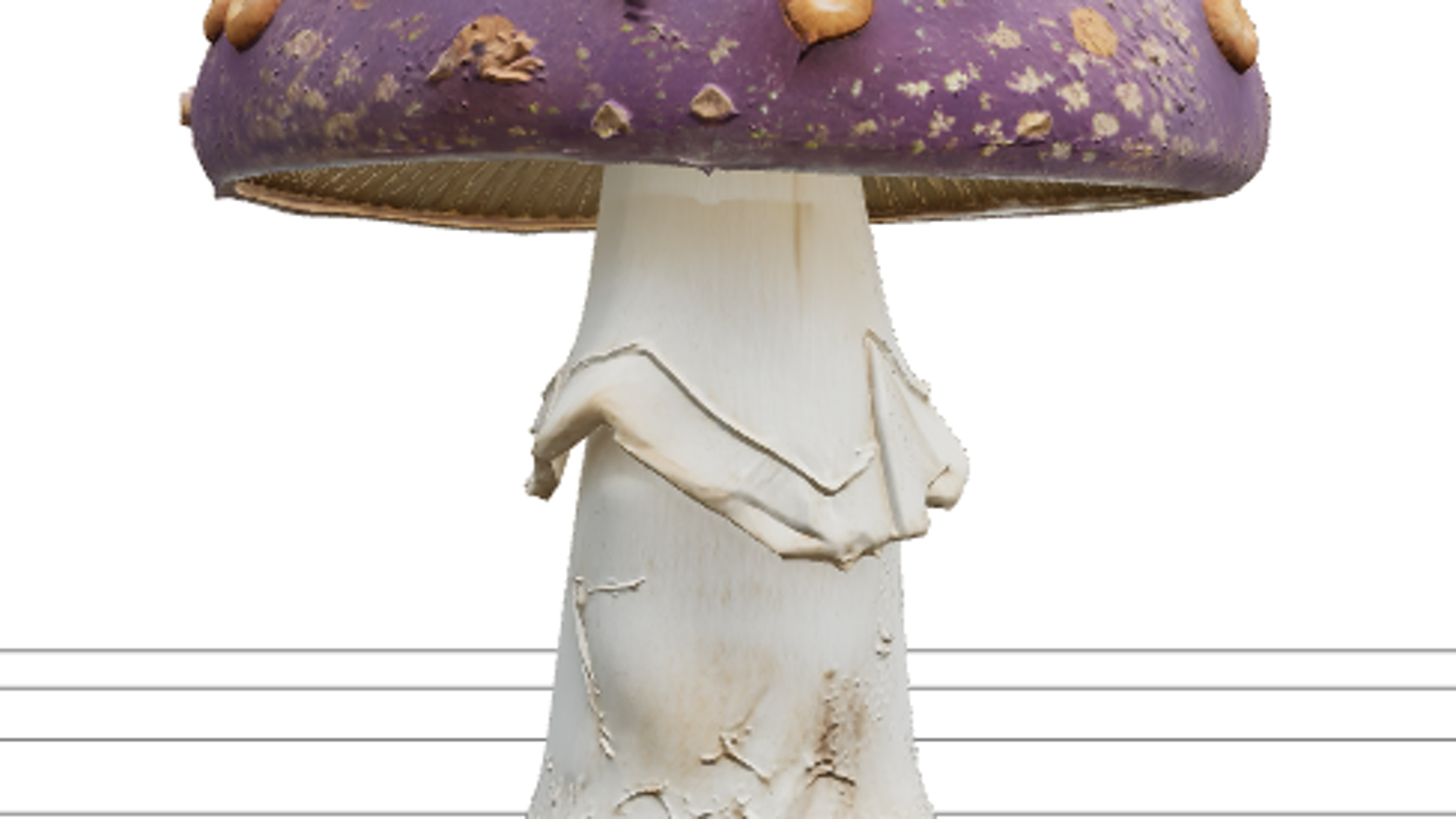 Violet Poisonous Mushroom with Orange Spots 3D Model Asset 3D Model