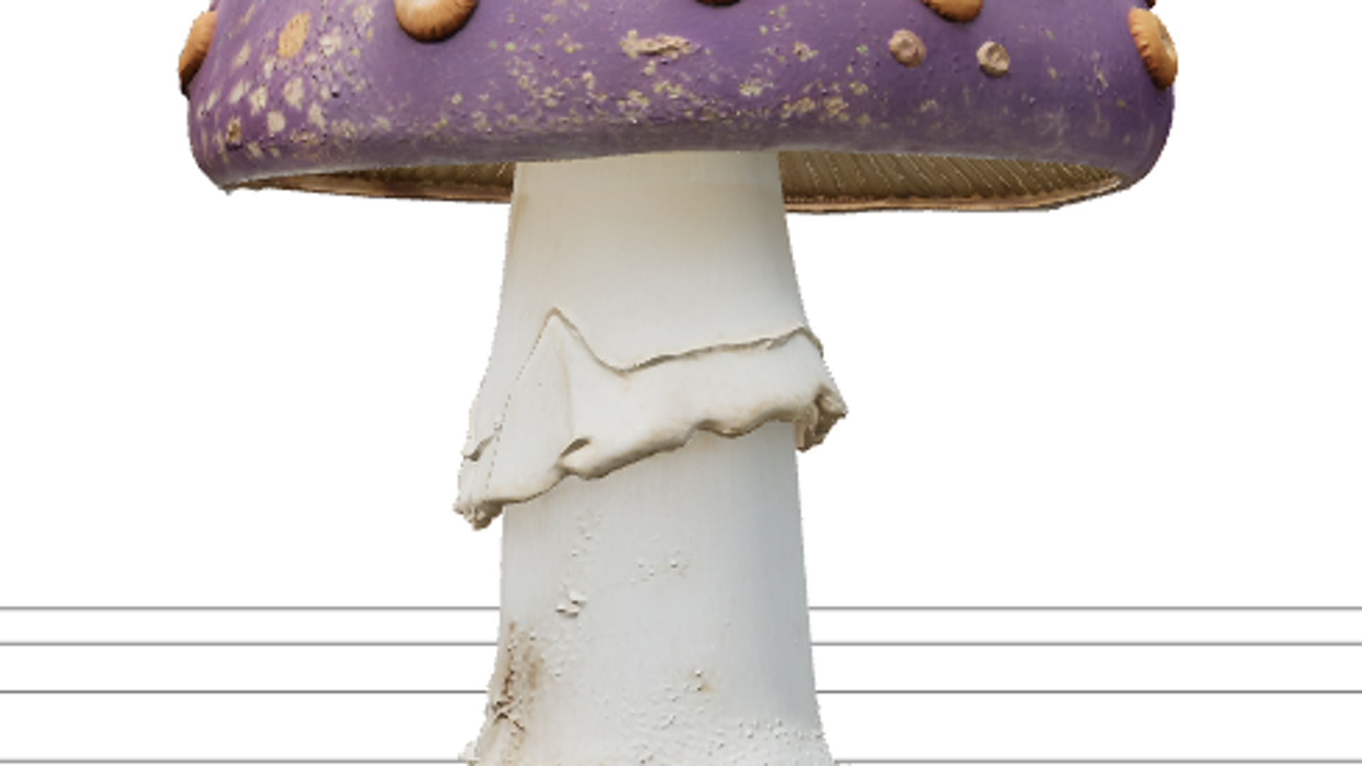 Violet Poisonous Mushroom with Orange Spots 3D Model Asset 3D Model