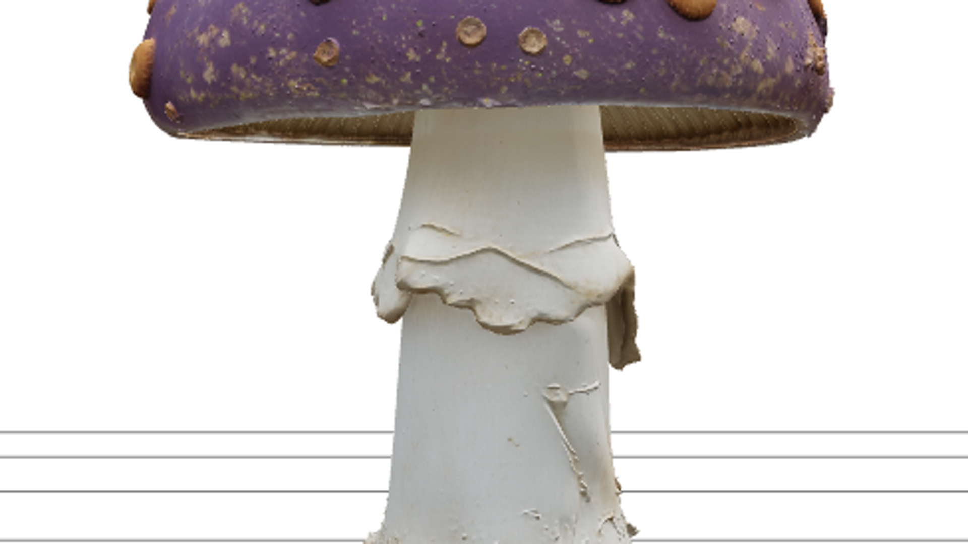 Violet Poisonous Mushroom with Orange Spots 3D Model Asset 3D Model