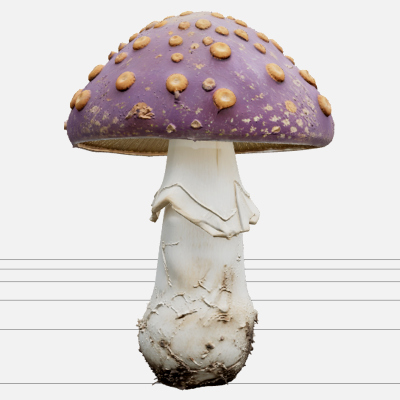 Violet Poisonous Mushroom with Orange Spots 3D Model Asset
