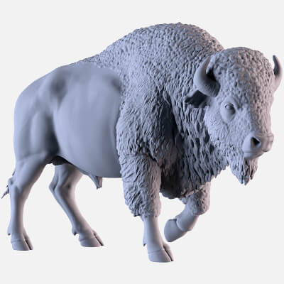 Bison Sculpture