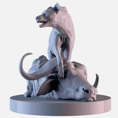 Hyena vs Buffalo