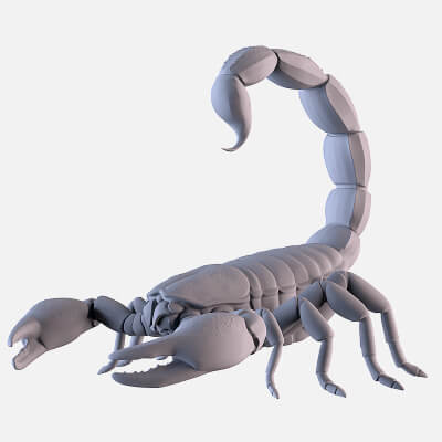 Scorpion Sculpture