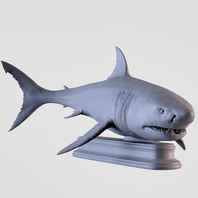 White Shark Sculpture