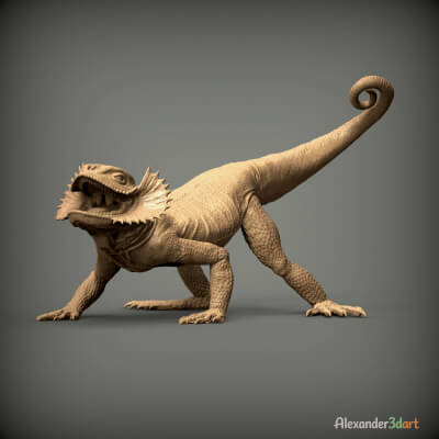 Agama Roundhead in Defensive Posture