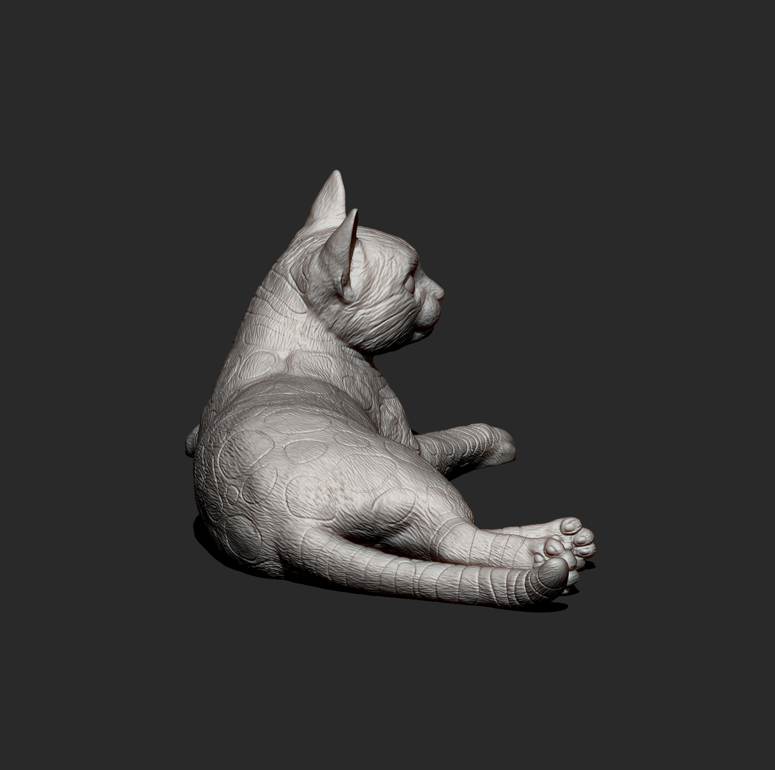 Bengal Cat Lying Down Realistic Cat 3D Print Model 3D Model