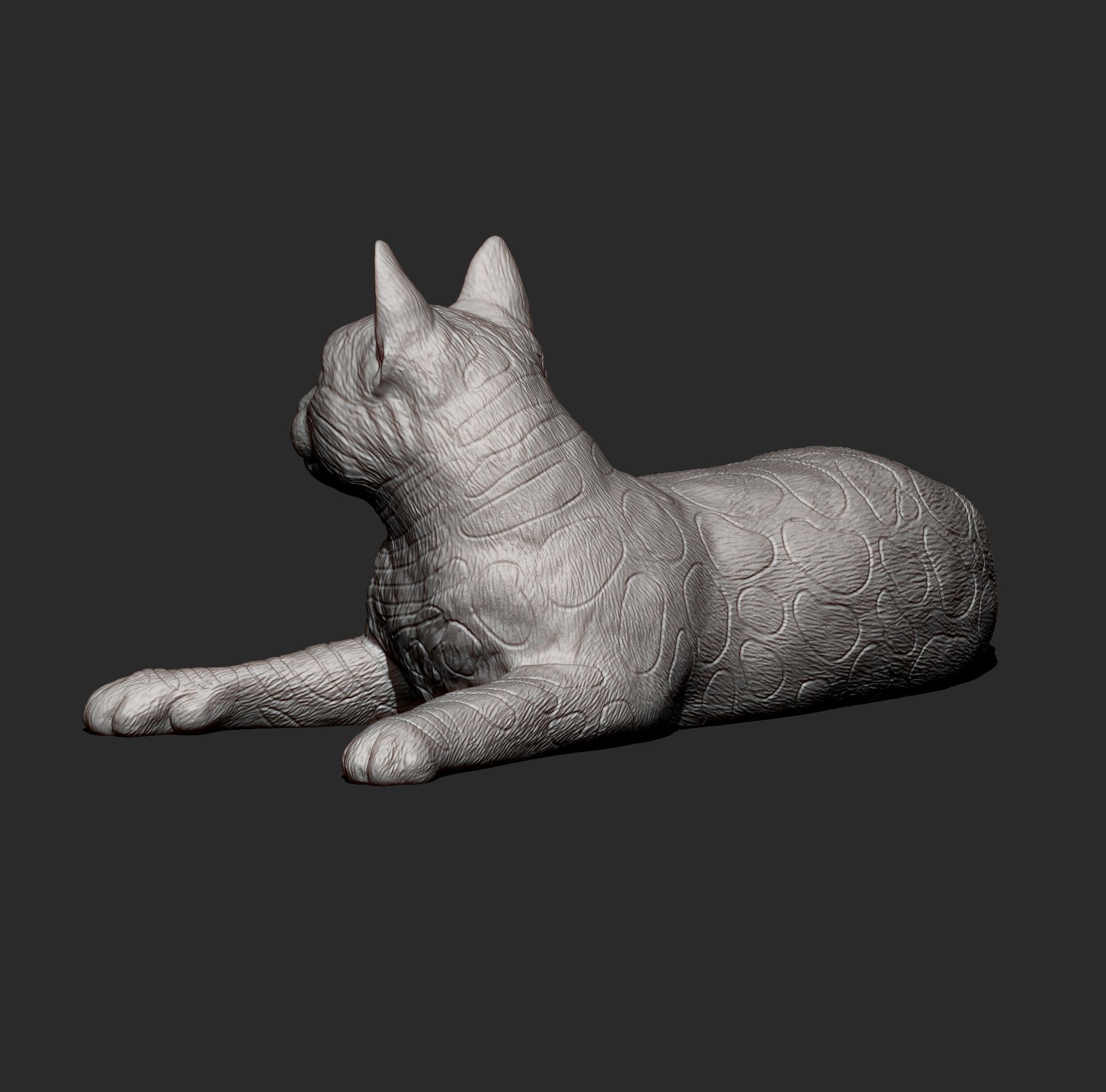 Bengal Cat Lying Down Realistic Cat 3D Print Model 3D Model