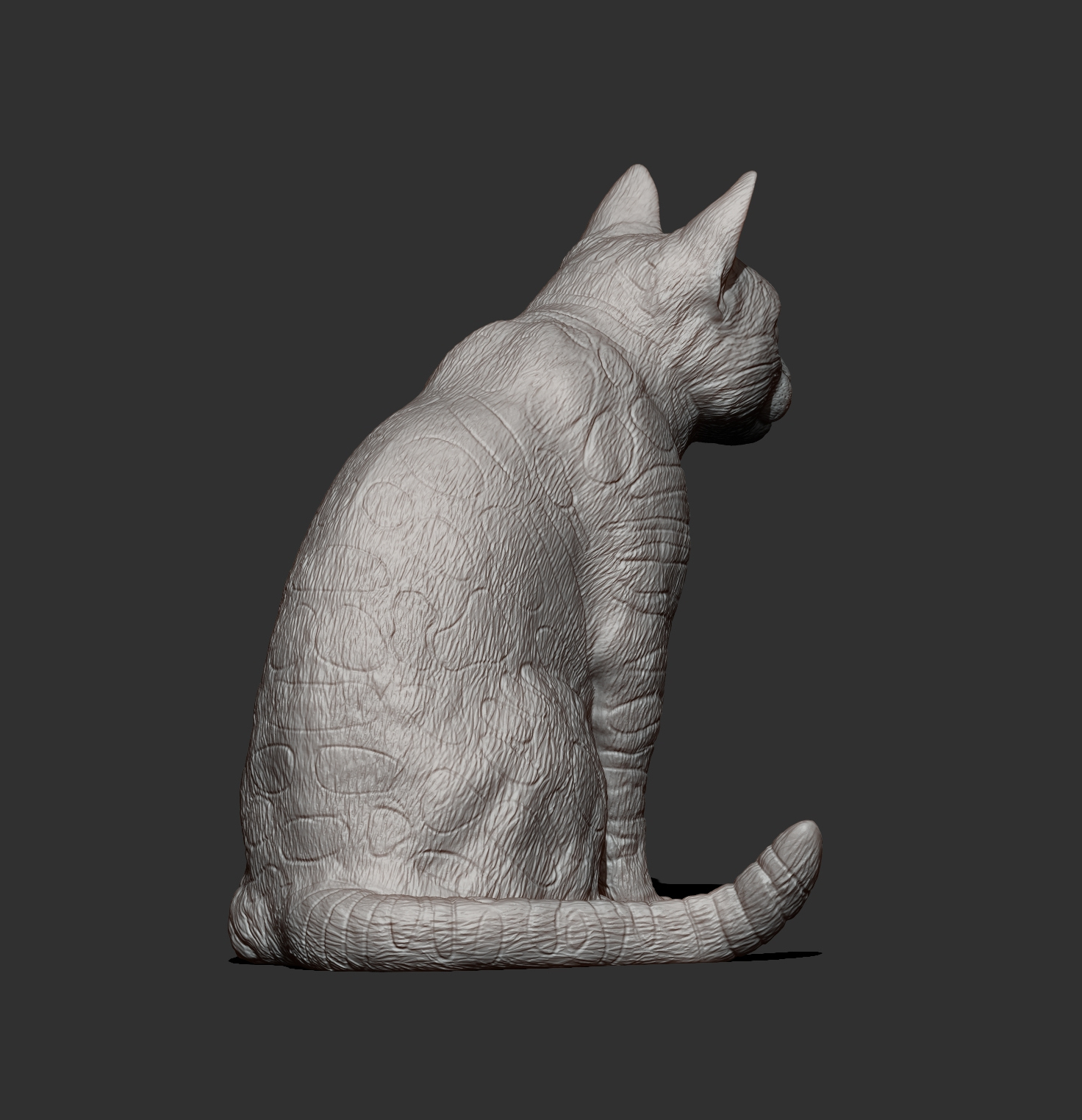 Bengal Cat Sitting &ndash Realistic Cat 3D Print Model STL 3D Model