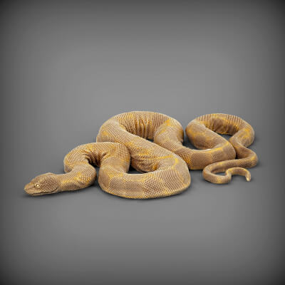 Realistic Elephant Trunk Snake Sculpture