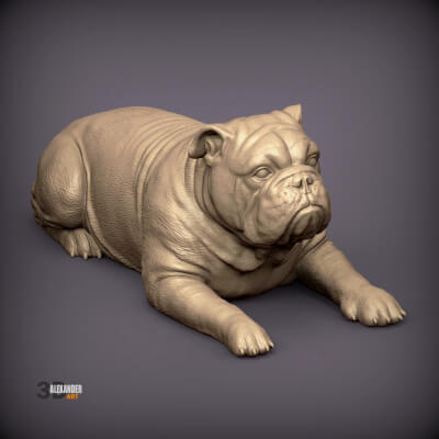 English Bulldog STL for 3D Printing Realistic Bulldog Skull