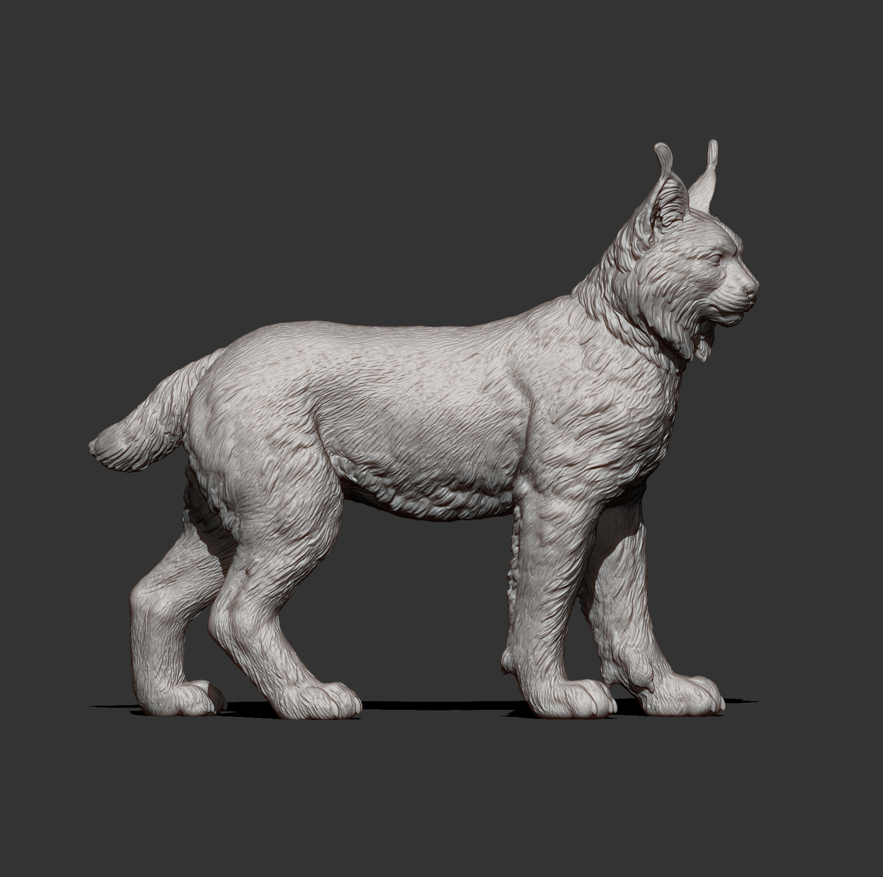 Eurasian Lynx 3D Print Model &ndash Realistic Wild Cat STL 3D Model