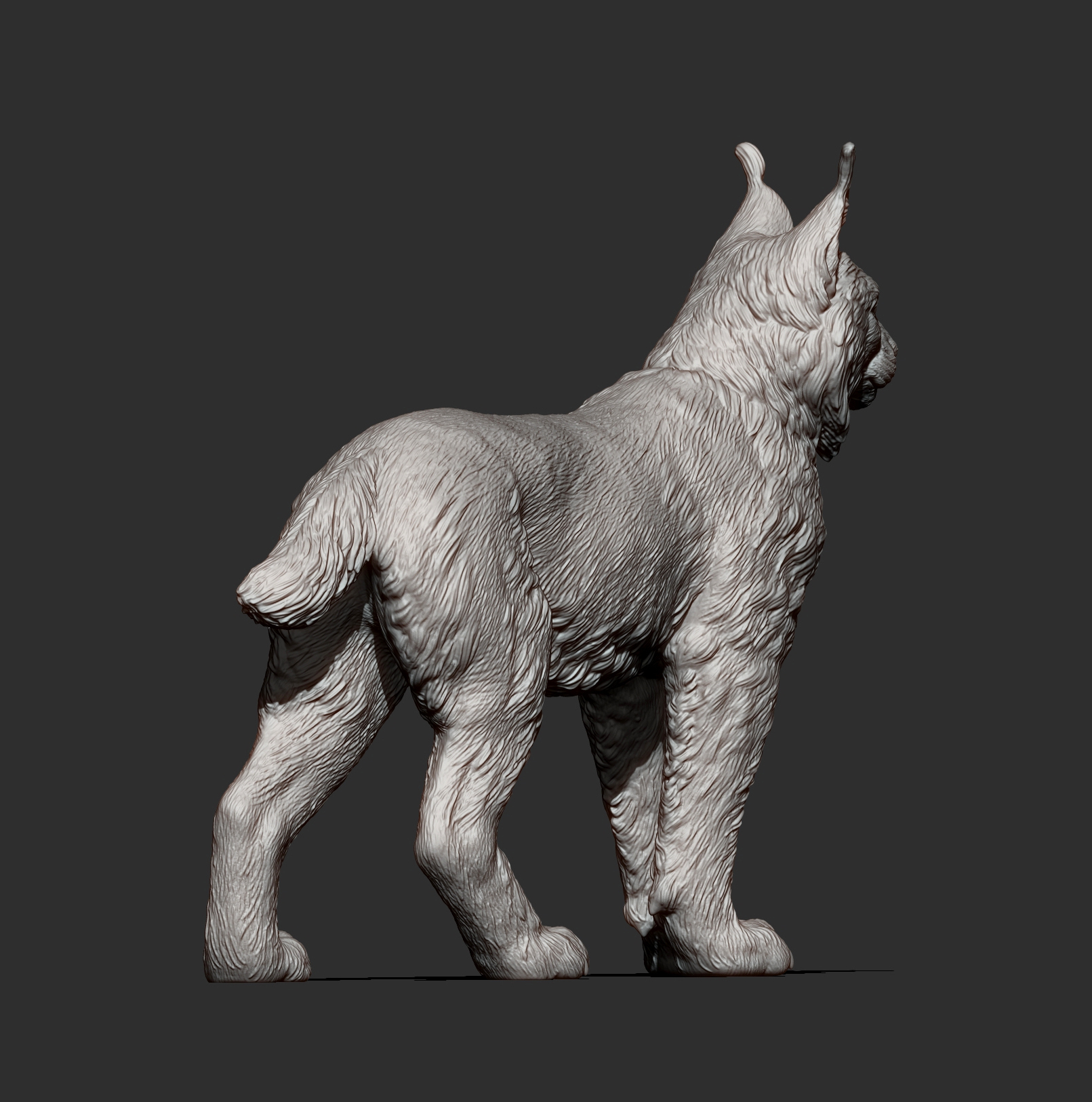 Eurasian Lynx 3D Print Model &ndash Realistic Wild Cat STL 3D Model
