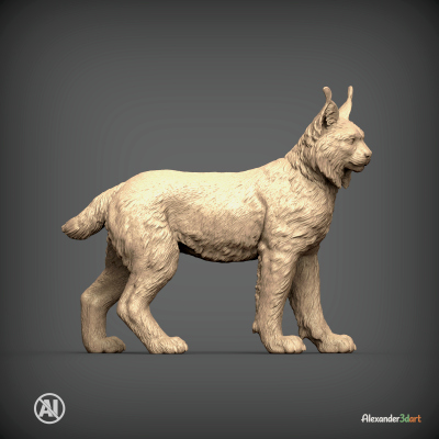 Eurasian Lynx 3D Print Model &ndash; Realistic Wild Cat STL