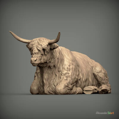 Highland Cow Lies