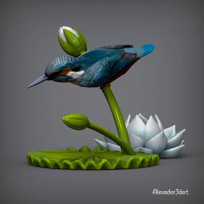 Kingfisher on the Hunt