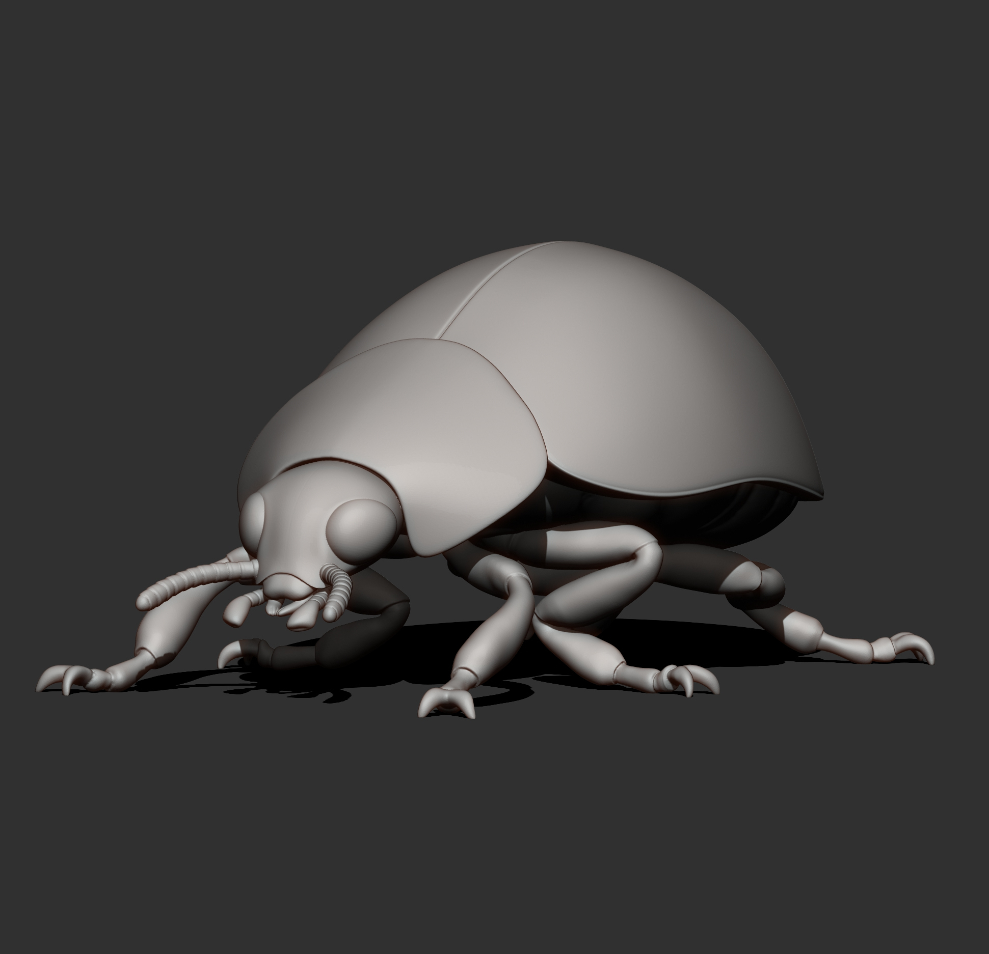 Ladybug 3D Print Model &ndash Realistic Beetle Insect STL 3D Model