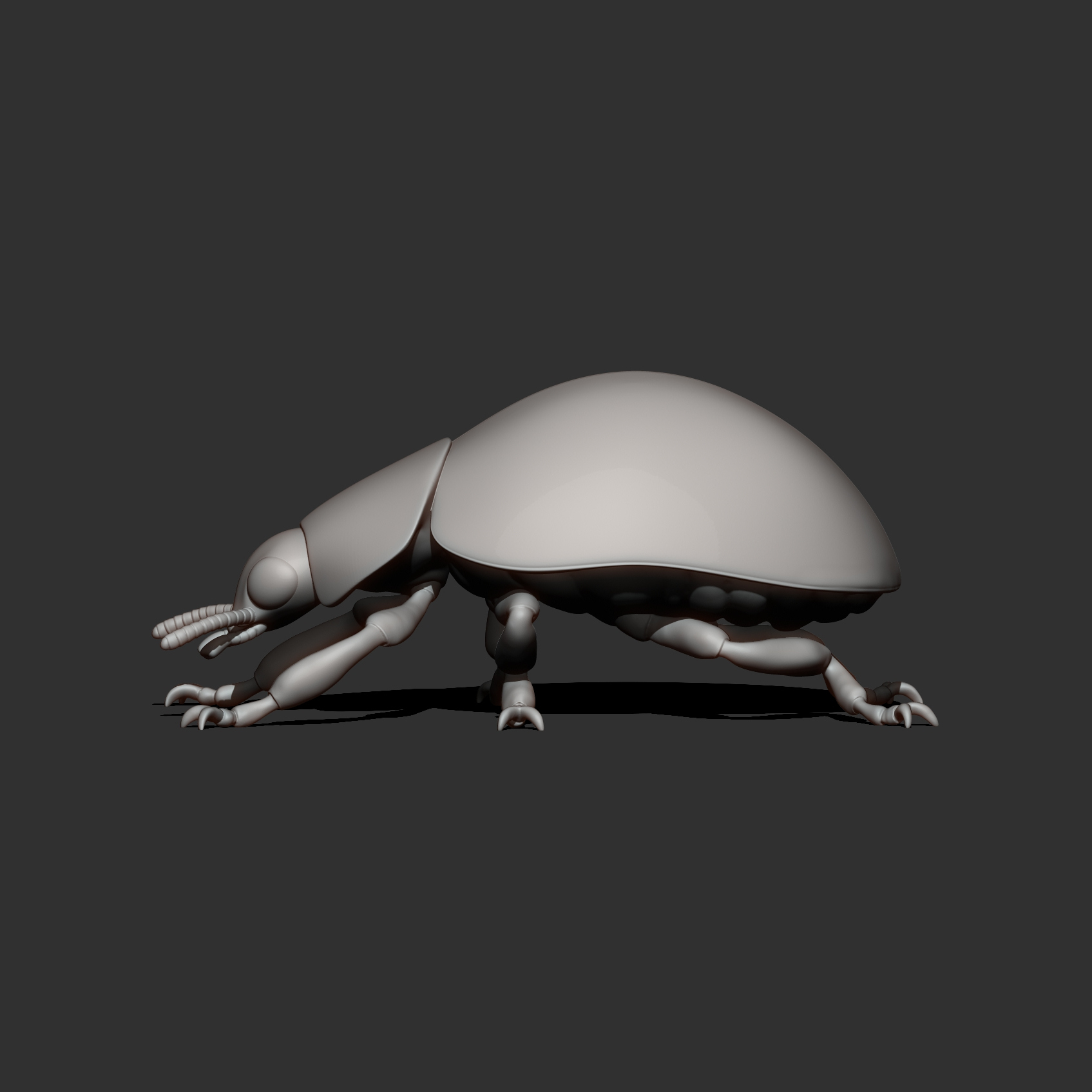Ladybug 3D Print Model &ndash Realistic Beetle Insect STL 3D Model