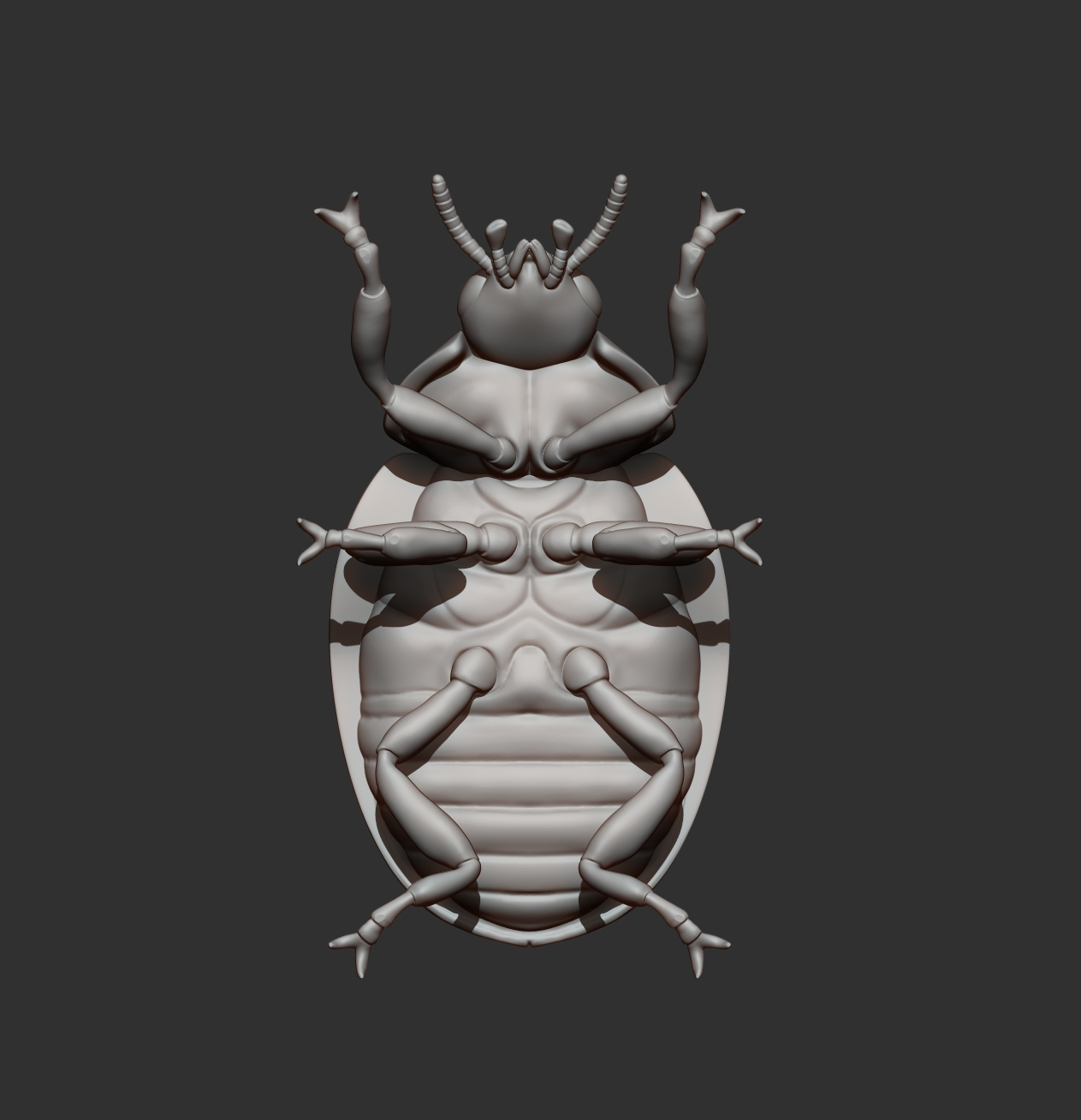 Ladybug 3D Print Model &ndash Realistic Beetle Insect STL 3D Model