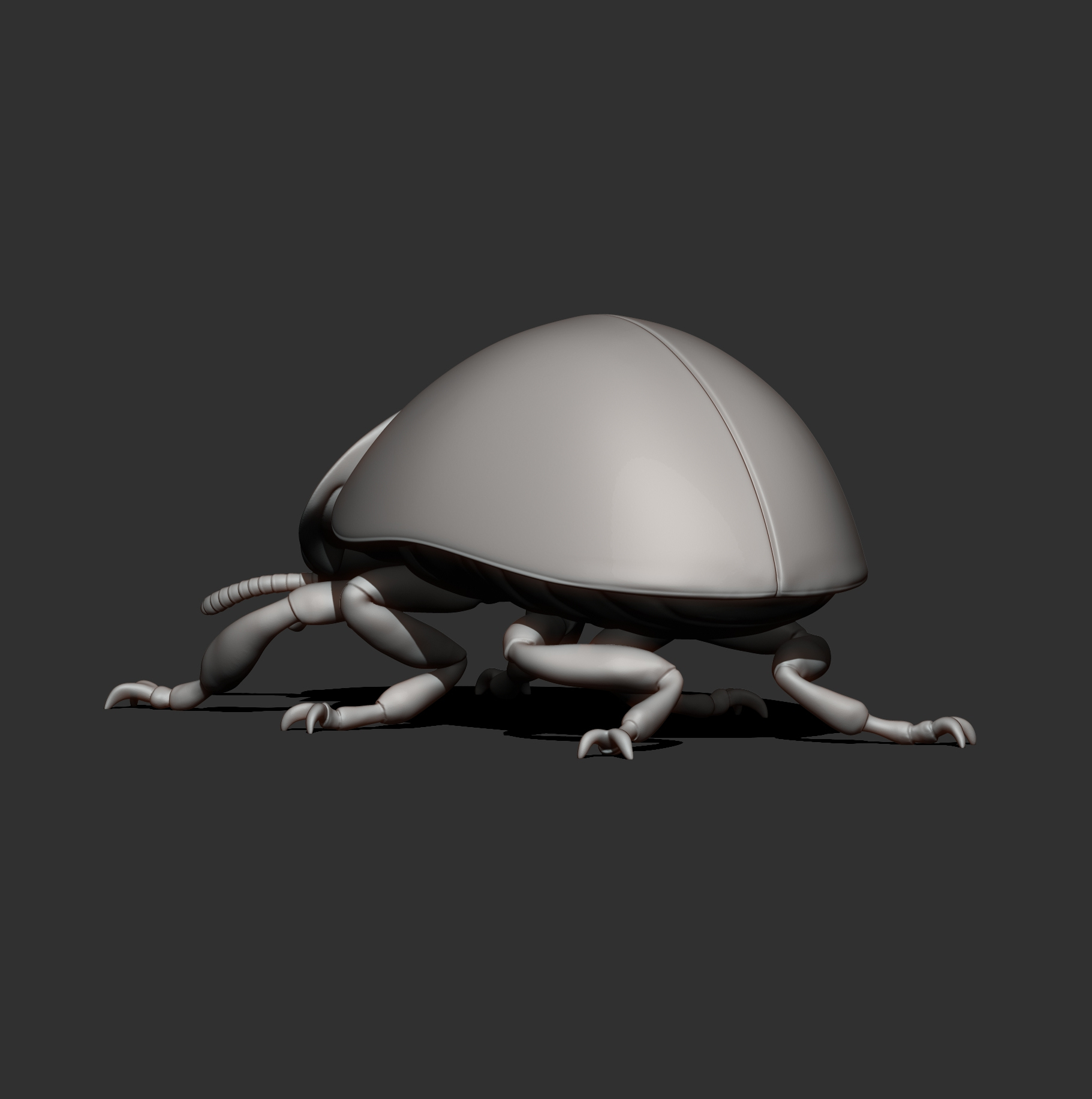 Ladybug 3D Print Model &ndash Realistic Beetle Insect STL 3D Model