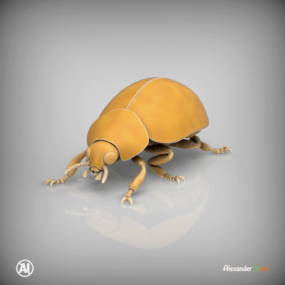 Ladybug 3D Print Model &ndash; Realistic Beetle Insect STL