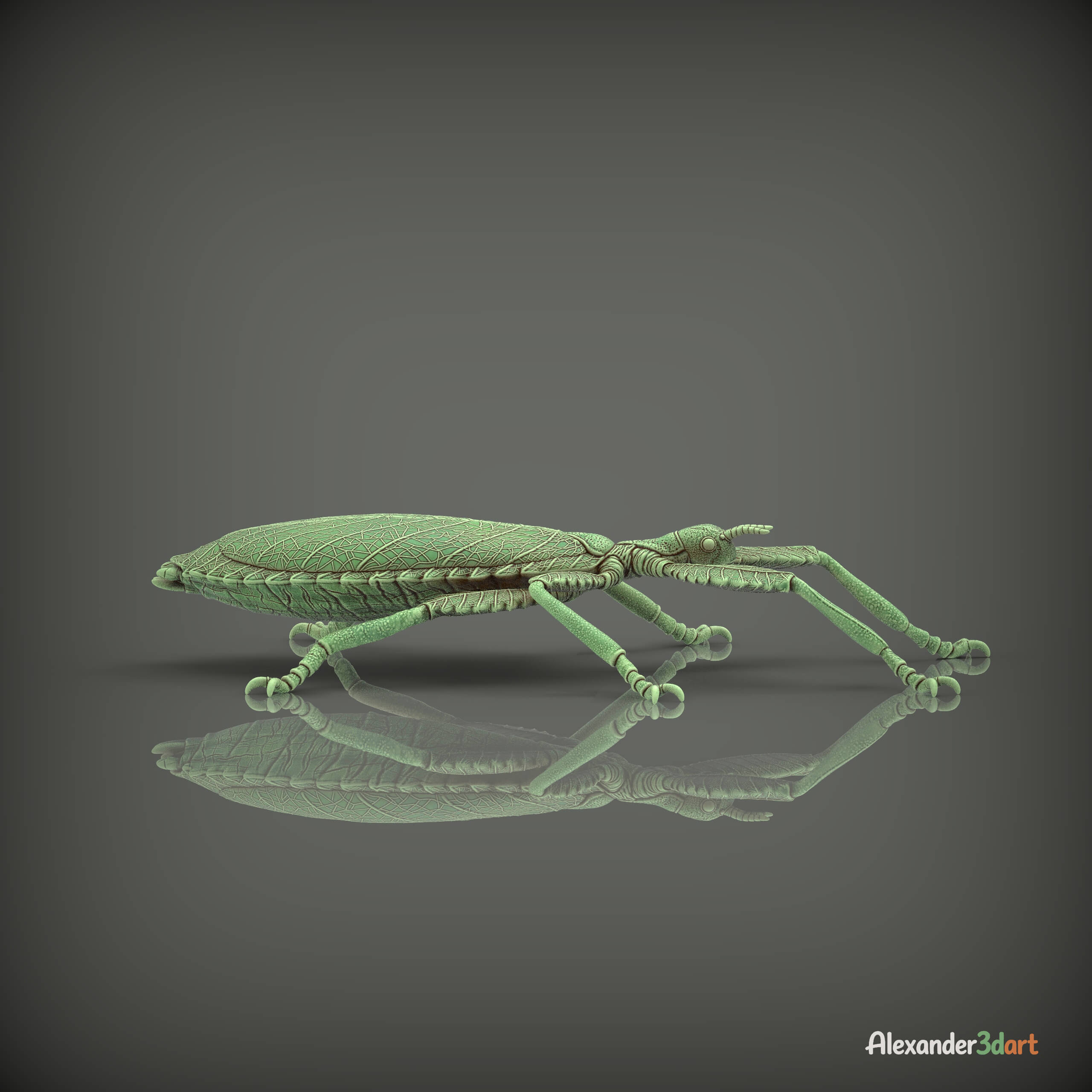 Leaf Insect Walking Leaf 3D Model