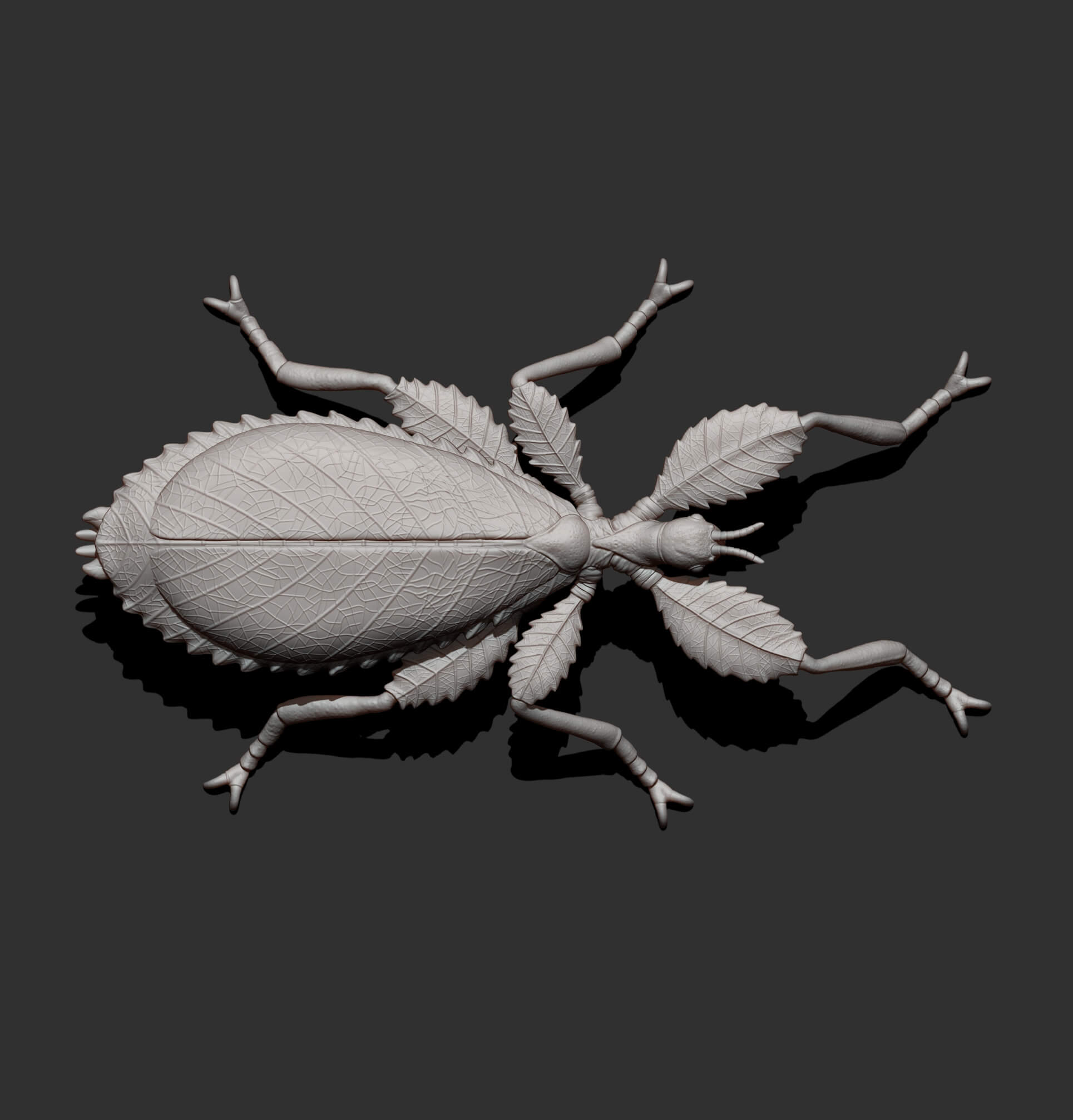 Leaf Insect Walking Leaf 3D Model