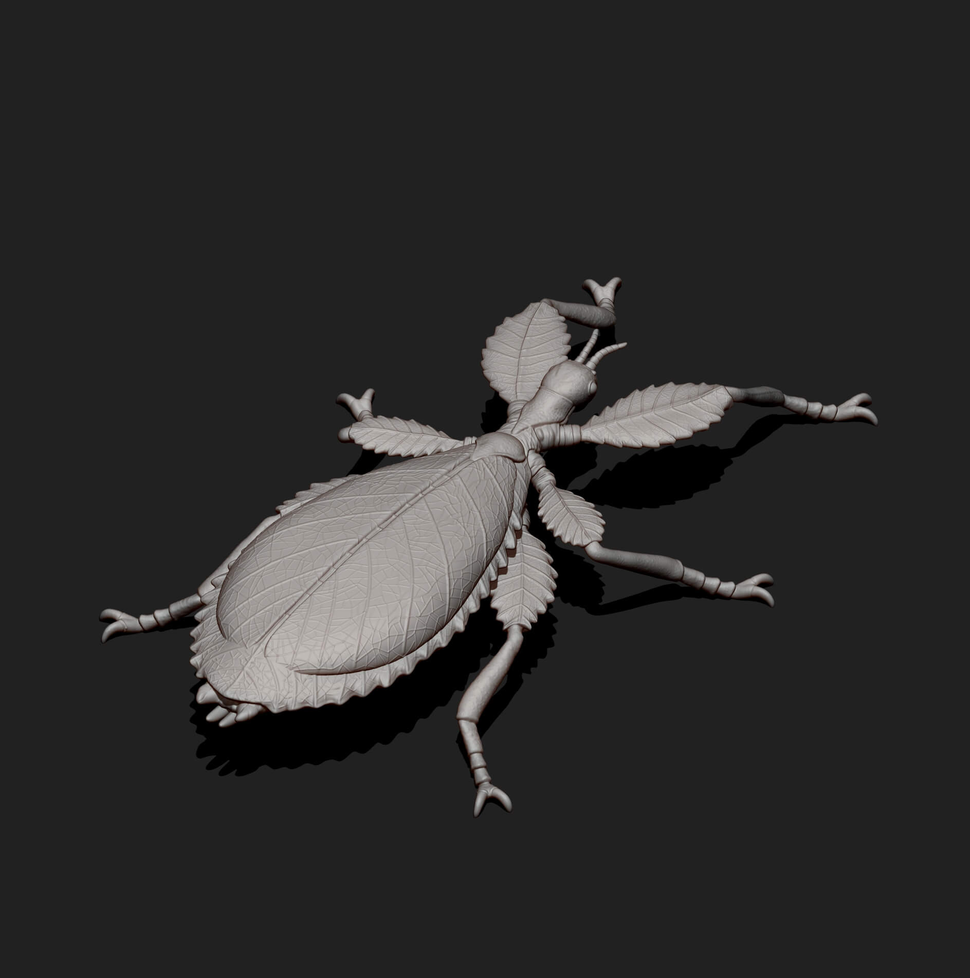 Leaf Insect Walking Leaf 3D Model