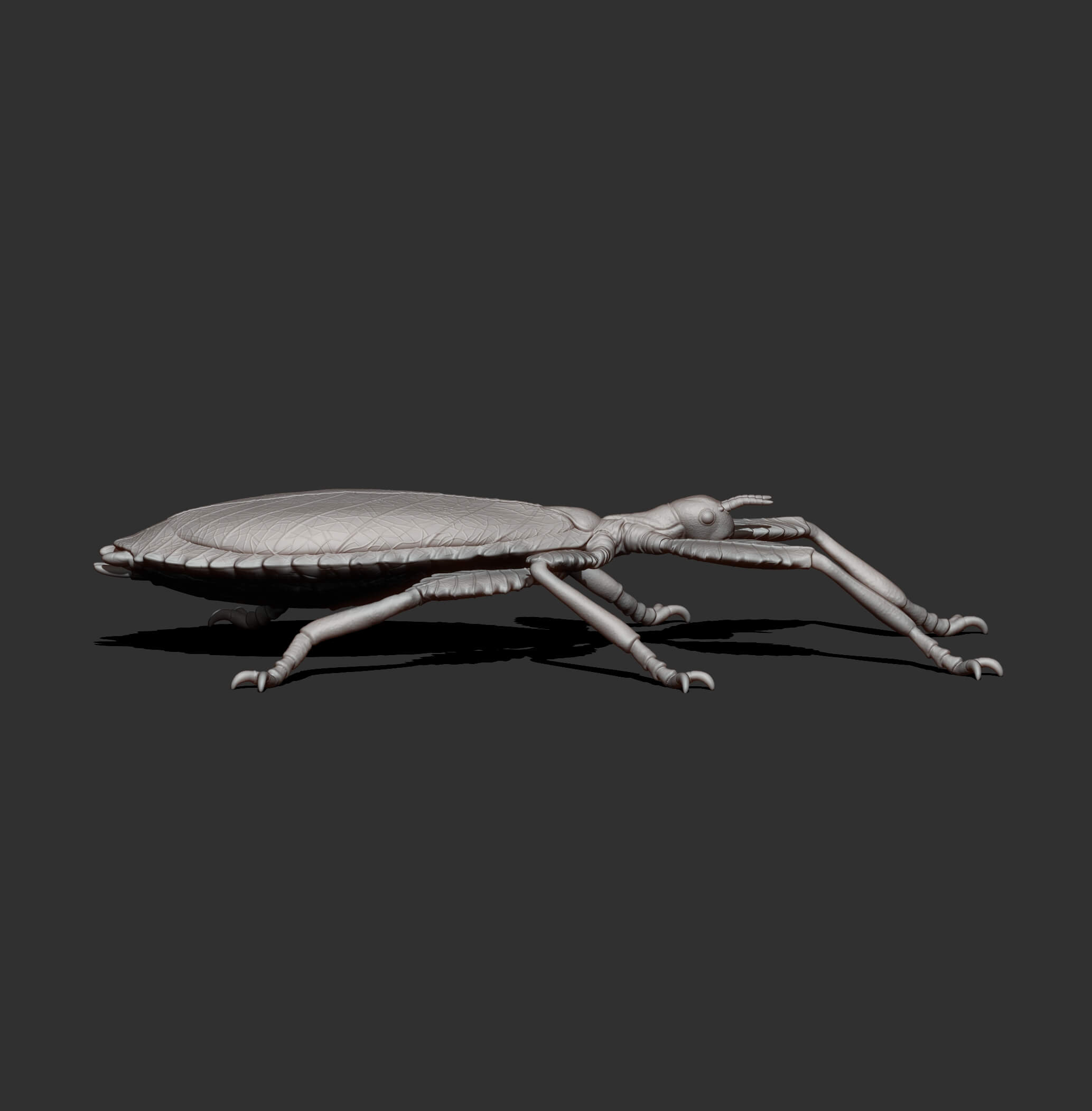Leaf Insect Walking Leaf 3D Model