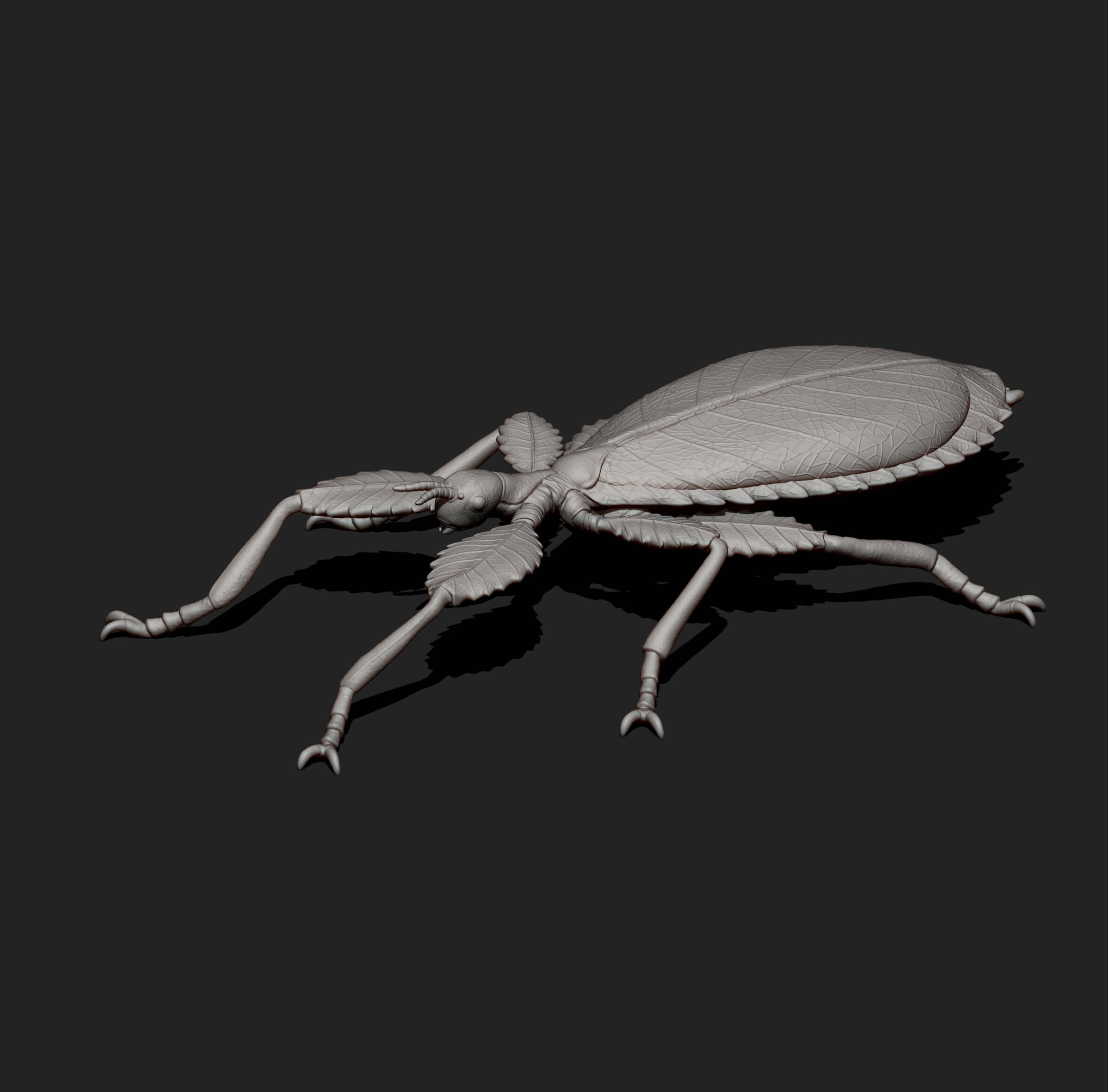 Leaf Insect Walking Leaf 3D Model