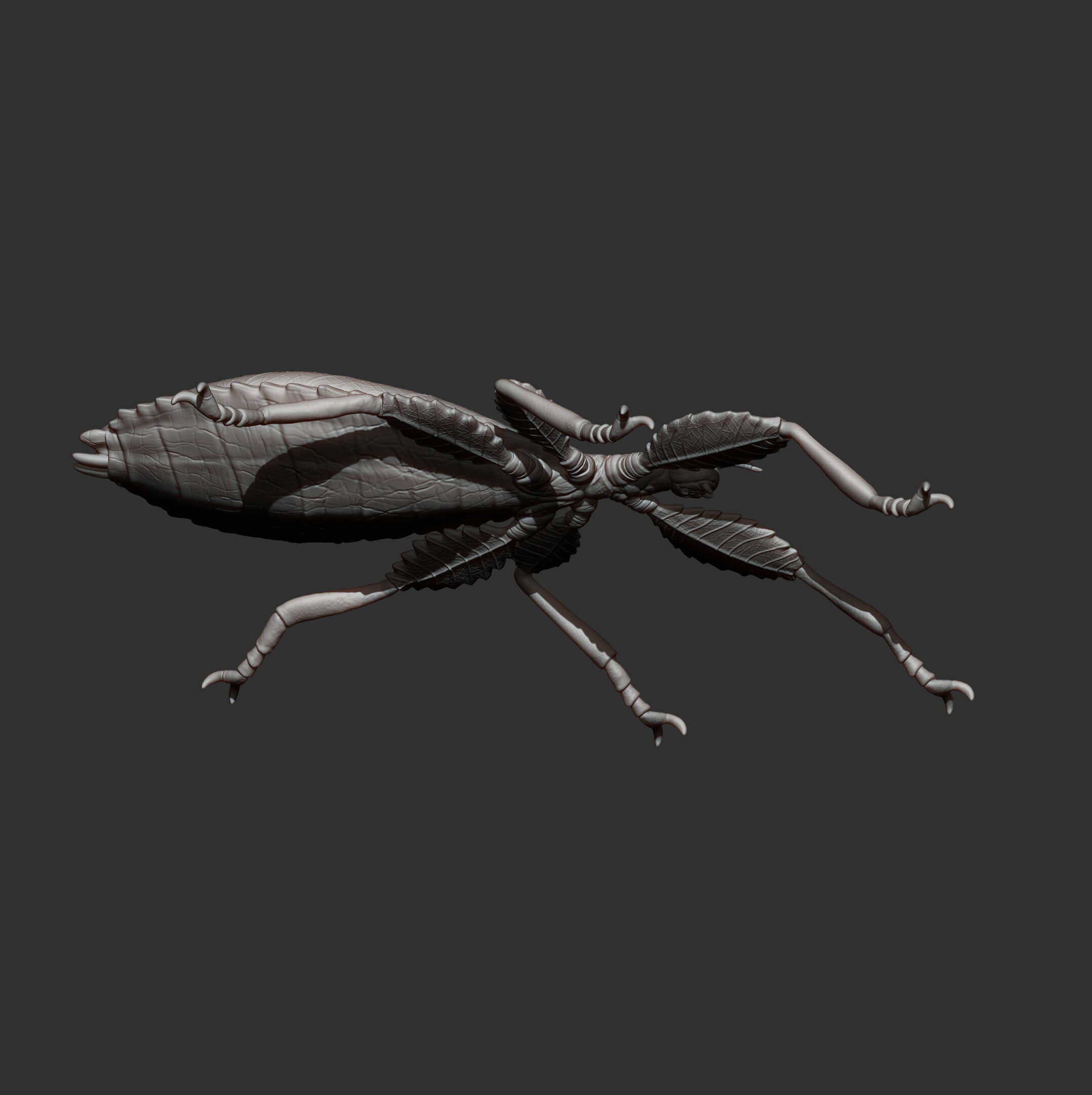 Leaf Insect Walking Leaf 3D Model