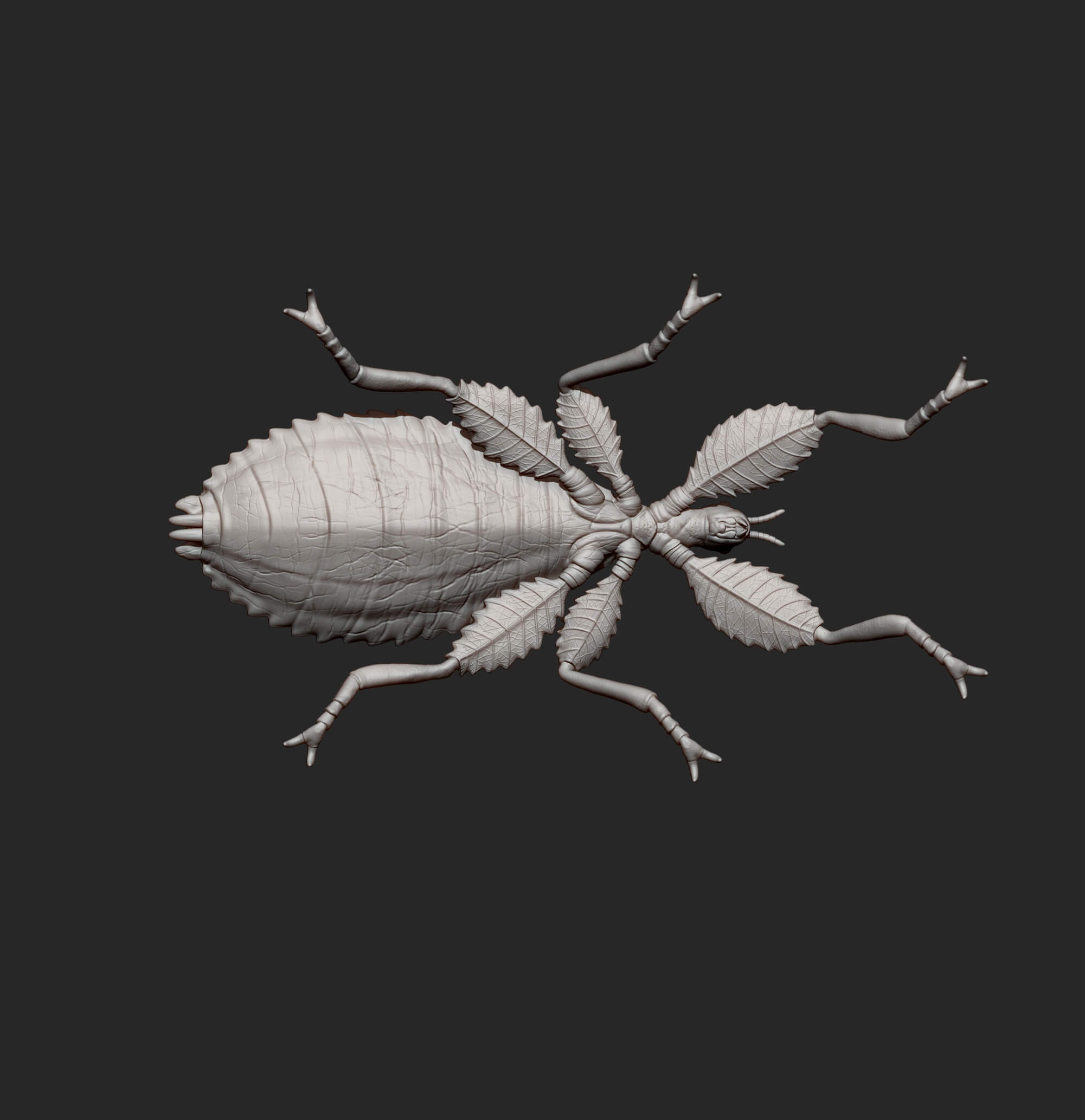 Leaf Insect Walking Leaf 3D Model