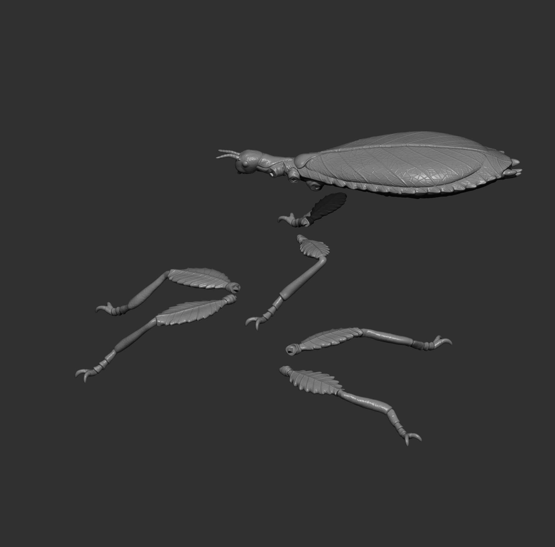 Leaf Insect Walking Leaf 3D Model