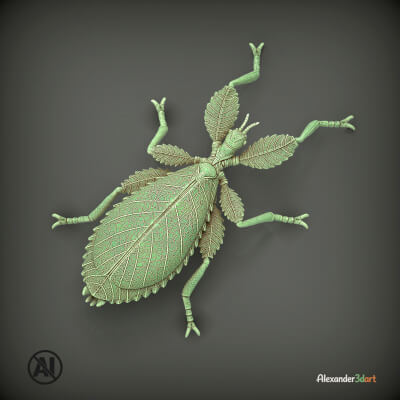 Leaf Insect Walking Leaf