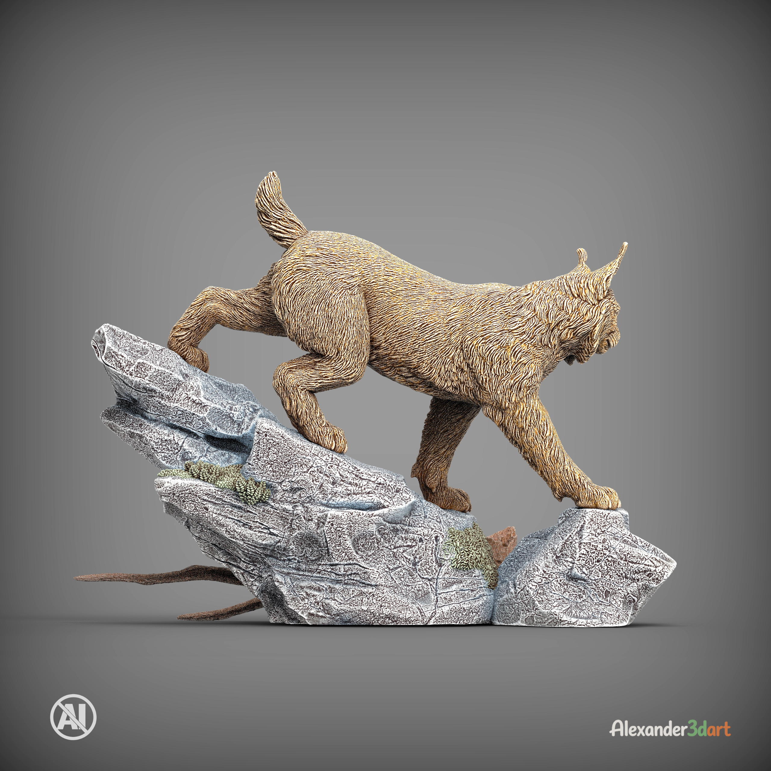 Lynx on the Rocks 3D Model