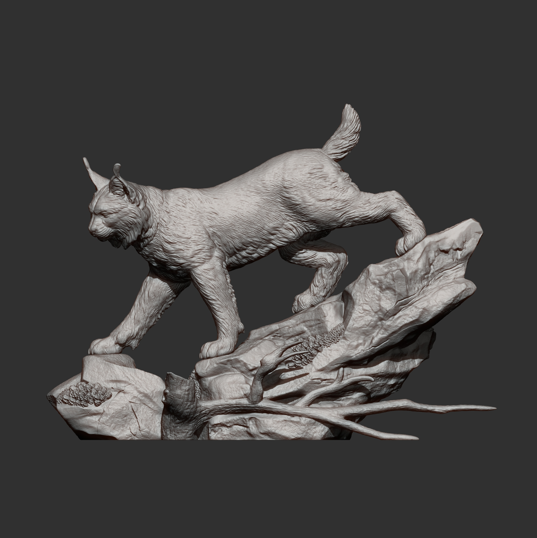 Lynx on the Rocks 3D Model
