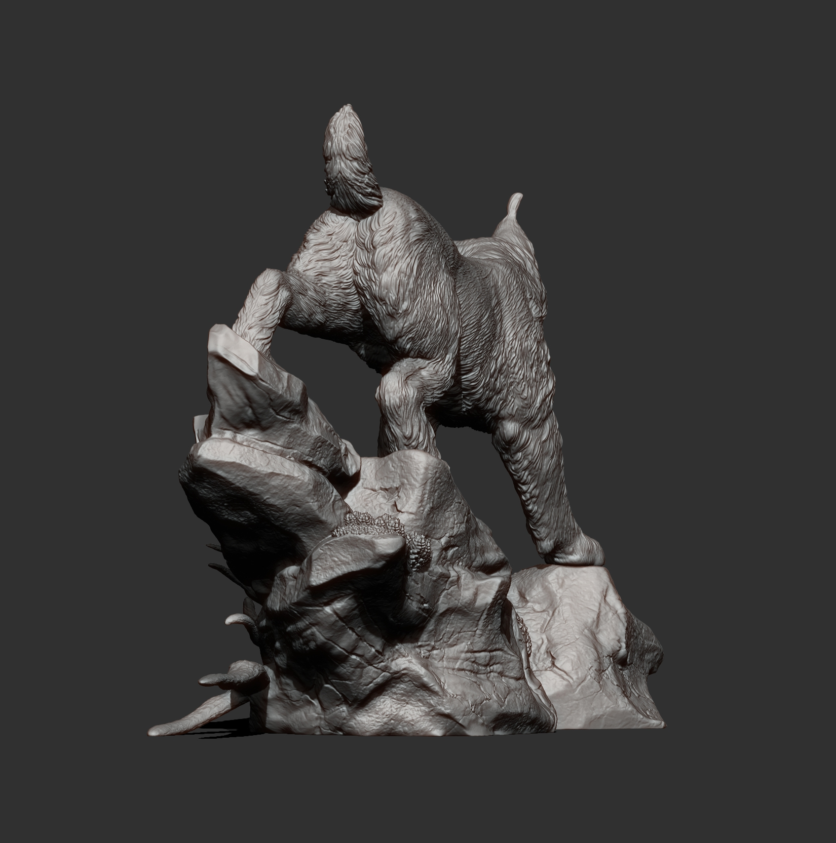 Lynx on the Rocks 3D Model